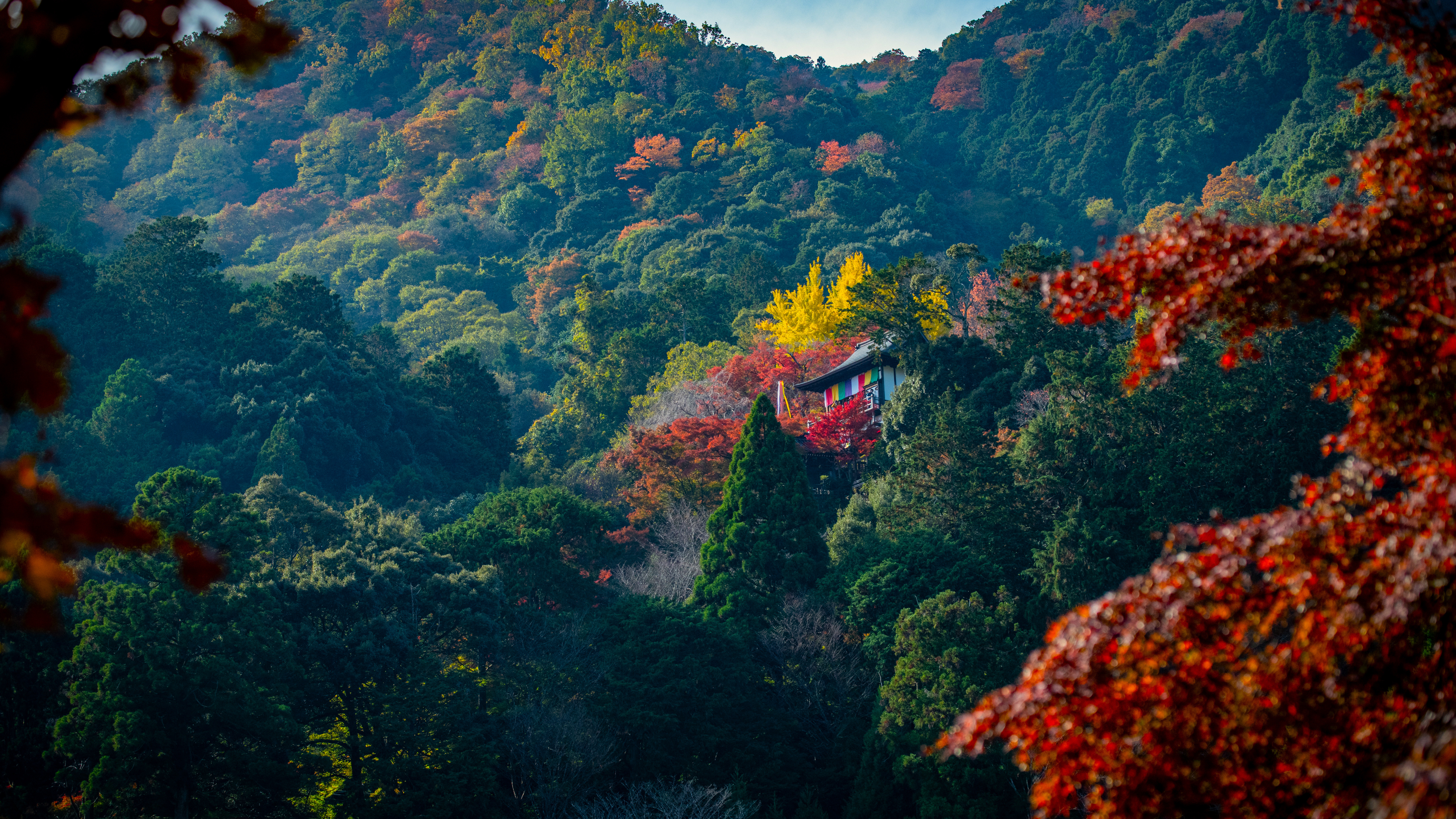 Free download Nature Temple Mountains Trees Leaves Autumn Forest 4K Wallpaper, Wallpaper(s)