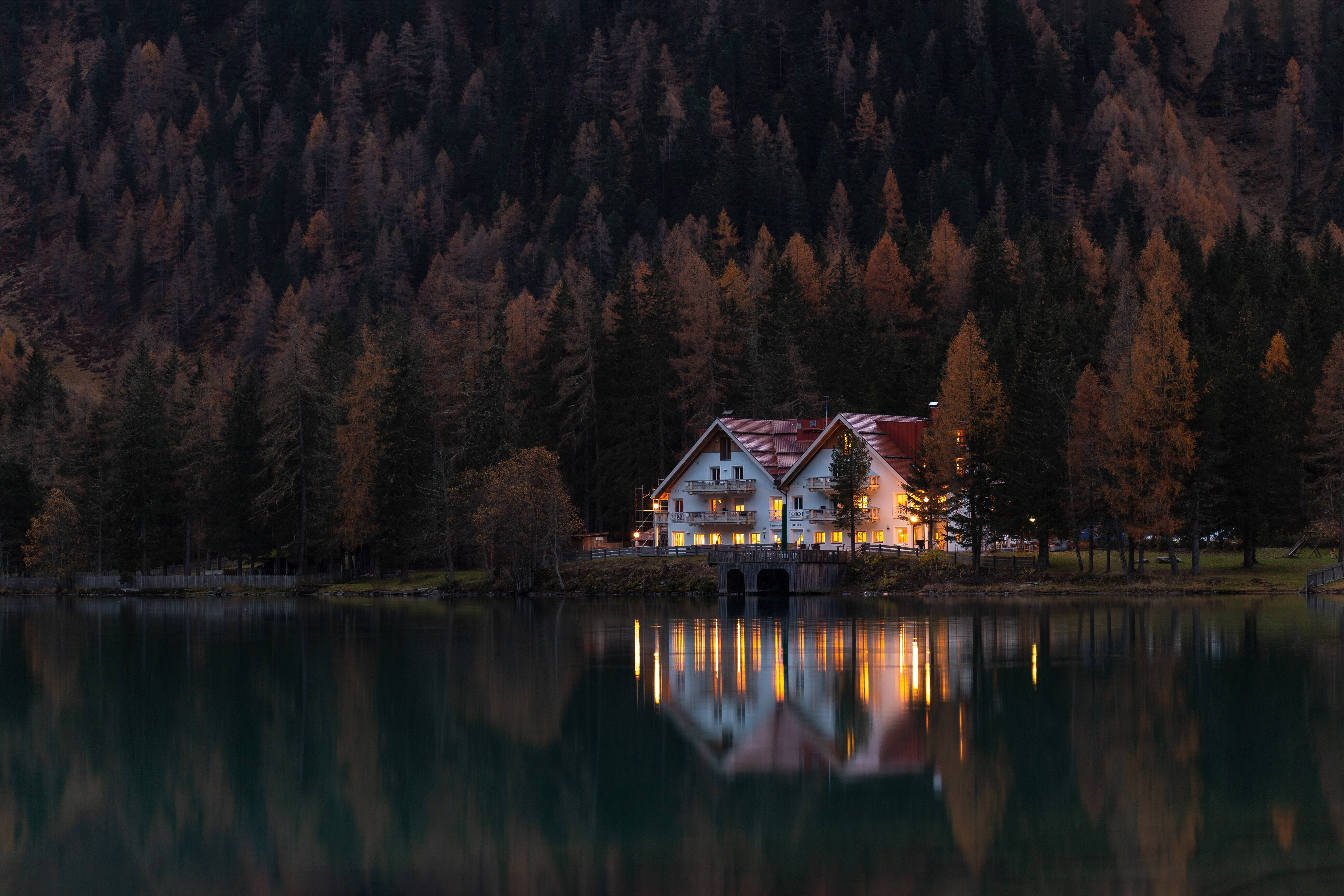 Free download Pine Tree Water Tree Lamp Autumn Hotel Restaurant Breakfast 4K Wallpaper, Wallpaper(s) website provided.