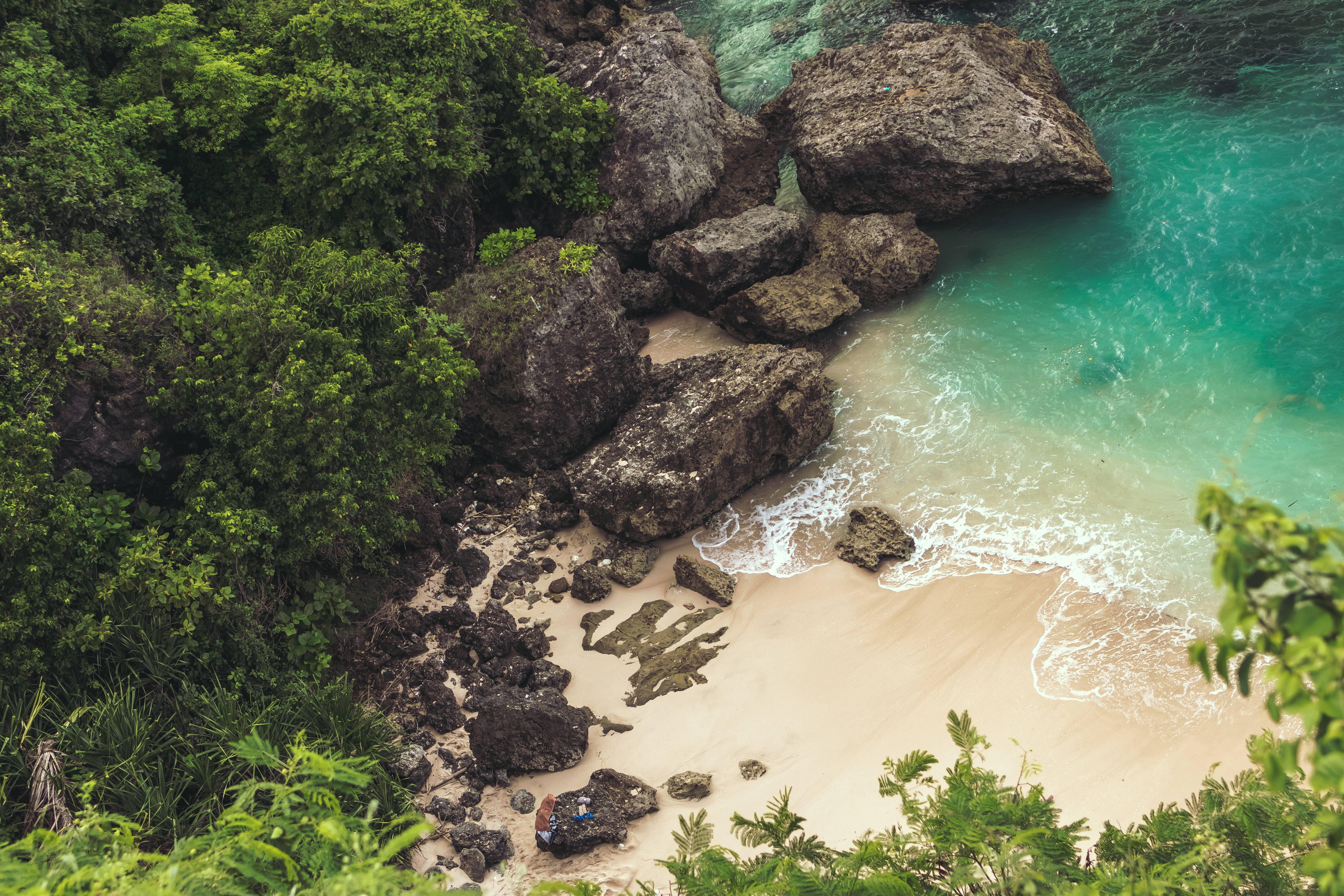 Free download trees rock plants ocean island forest turquoise nature beach 4K wallpaper, Wallpaper(s)