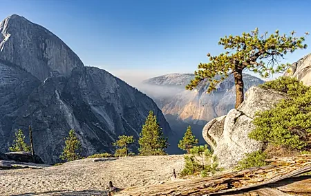 Free download trees rock nature landscape cliff, Wallpaper(s) website provided.