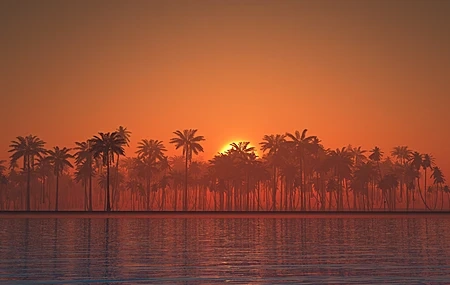 Free download landscape coconut sunset water river landscape orange sky silhouette sky reflection palm trees sunset sunset 4K wallpaper, Wallpaper(s)