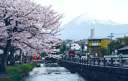 Free download Nature Landscape Trees Grass Water Rocks Iron Railings Cherry Blossoms Mountains Snow Mountains Town Cars 4K Wallpaper, Wallpaper(s) website provided.