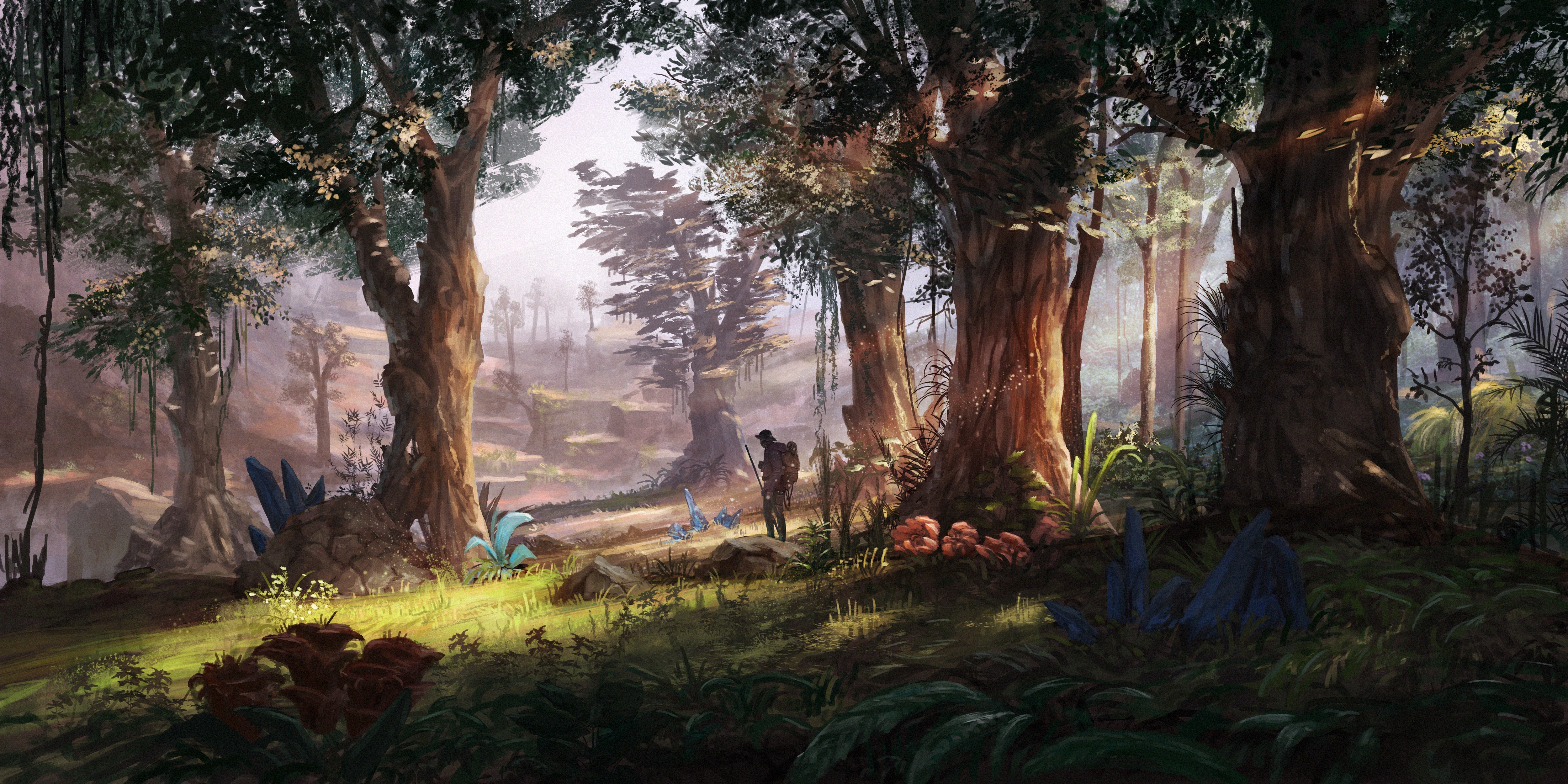 Free download hunter forest sunshine plant, Wallpaper(s)