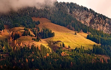 Free download Landscape Mountains Trees Clouds Autumn Pines Ultra-wide Nature 4K Wallpaper, Wallpaper(s)
