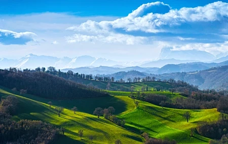 Free download Nature Landscape Sky Cloud Grass Field Hill Trees Sunshine Vista Sunrise Forest Green 4K Wallpaper, Wallpaper(s) website provided.