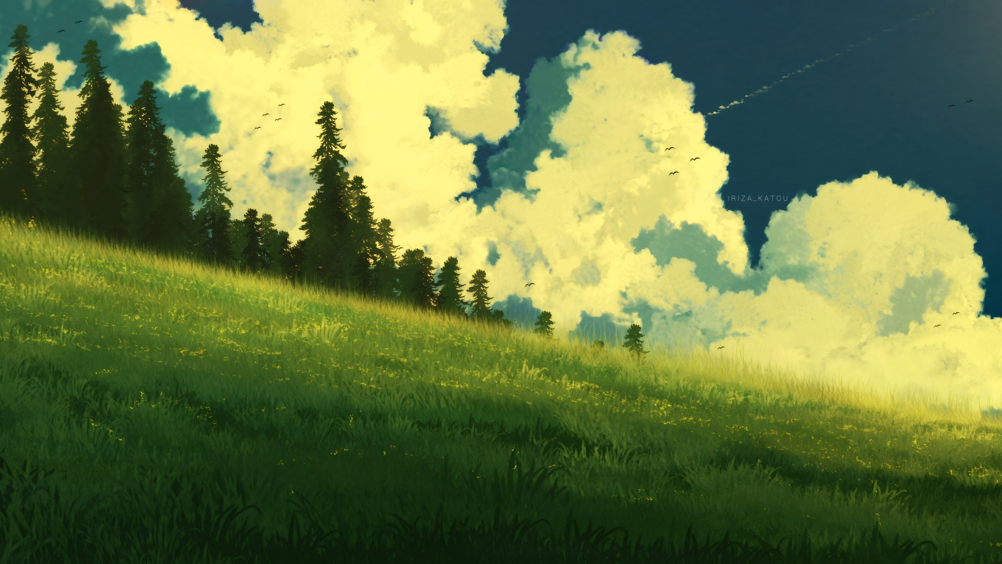 Free download Nature Fields Pines Clouds Birds 4K Wallpaper, Wallpaper(s)