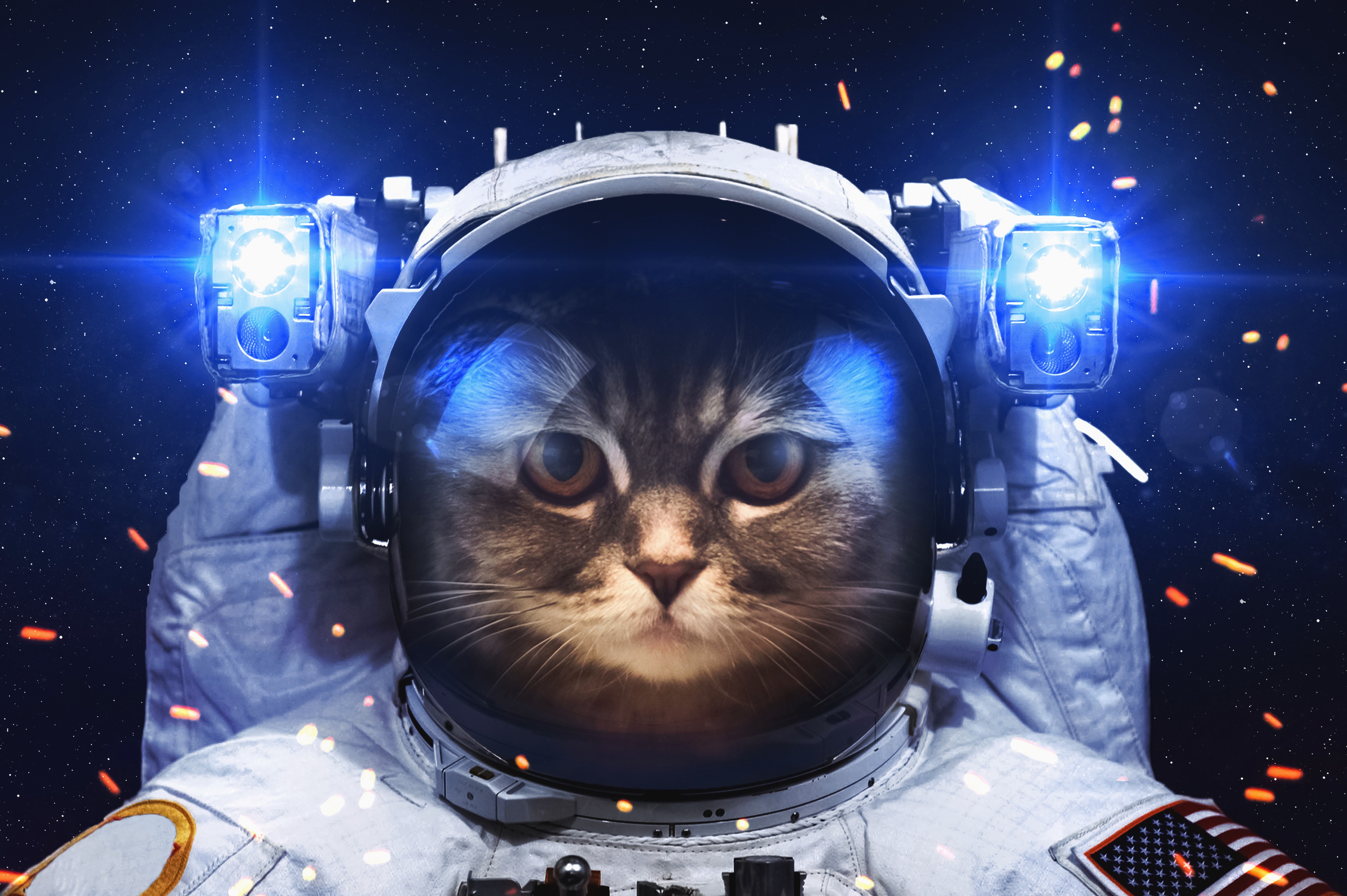 Free download Astronaut Cat Space Art Creativity Universe Starry Sky Science Fiction Computer Wallpaper 4K Wallpaper, Wallpaper(s) website provided.