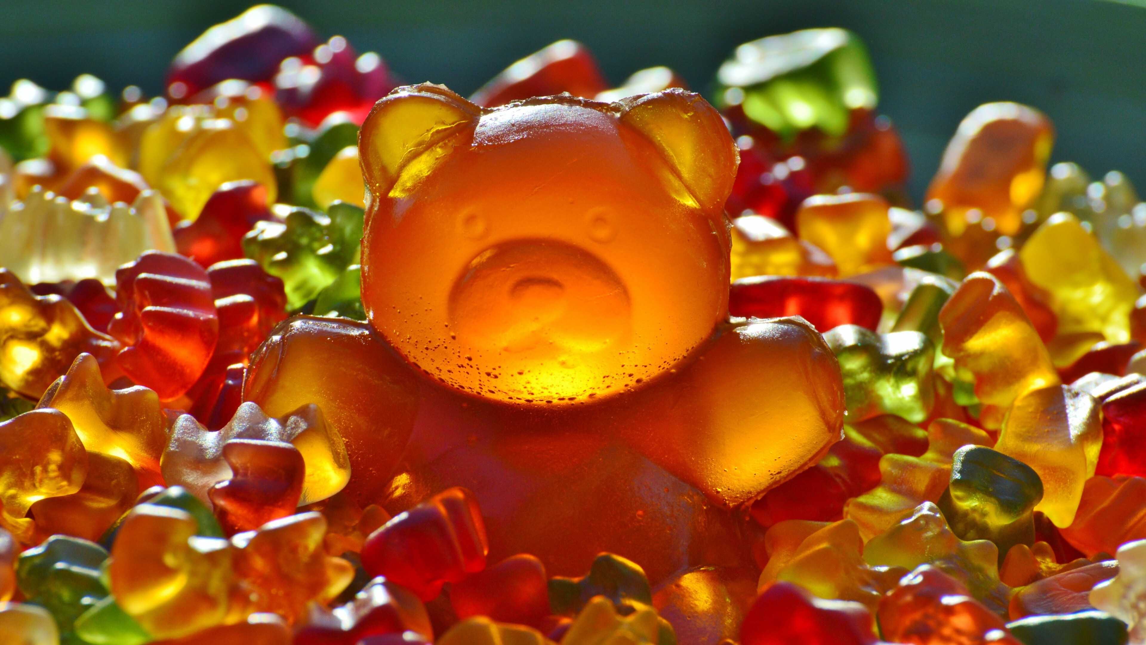Free download Animal Bear Gummy Bear Candy Colorful Food Closeup Depth of Field Simple Background Computer Wallpaper 4K Wallpaper, Wallpaper(s) website provided.