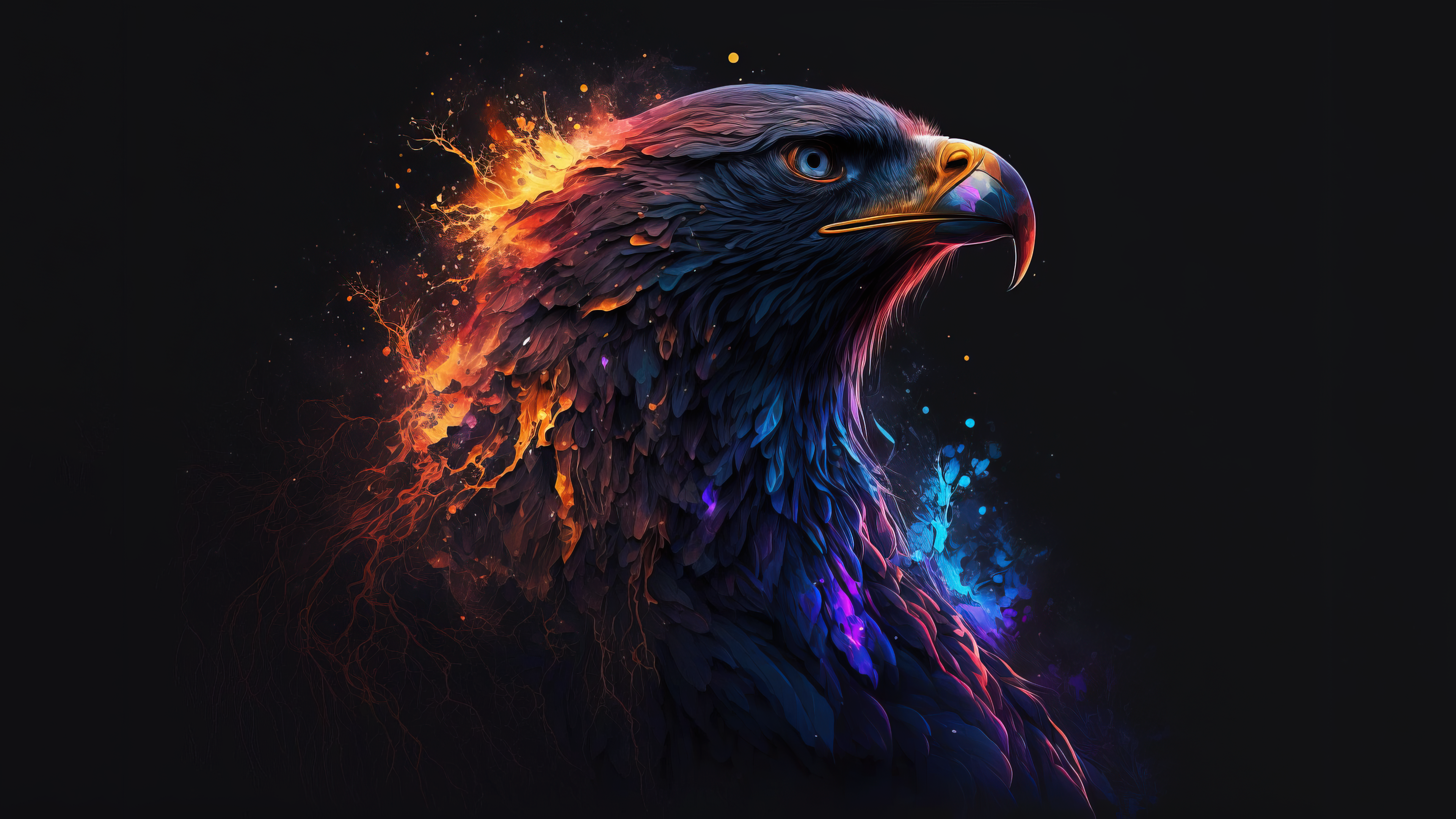 Free download Black background Simple background Bird computer wallpaper 4K wallpaper, Wallpaper(s) website provided.