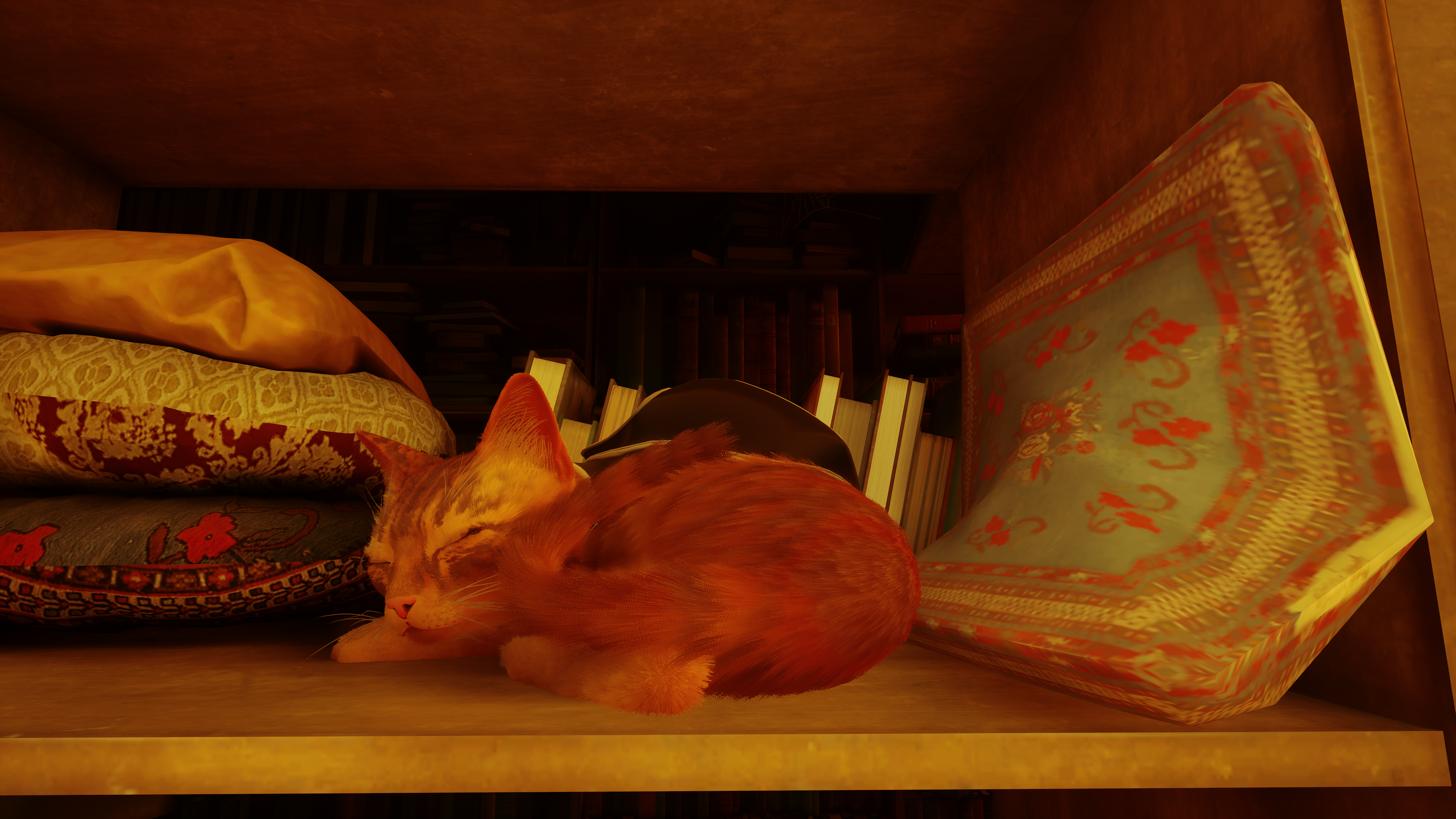 Free download Wandering Cat Computer Wallpaper 4K Wallpaper, Wallpaper(s) website provided.