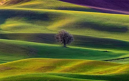 Free download Landscape Nature Field Lavender Grass Hills 4K Wallpaper, Wallpaper(s) website provided.