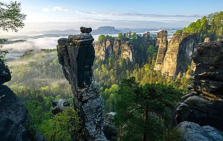 Free download rocks forest nature trees park mist sky clouds 4K wallpaper, Wallpaper(s) website provided.