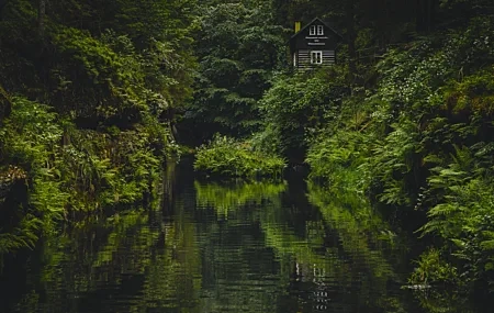 Free download Nature Trees Plants Water Grass Moss Rainforest Hut River 4K Wallpaper, Wallpaper(s) website provided.