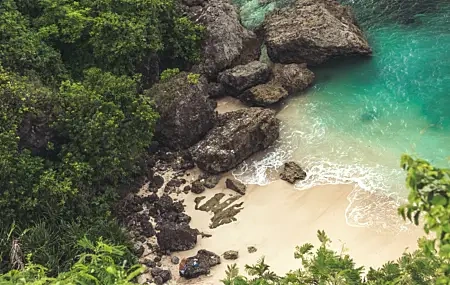 Free download trees rock plants ocean island forest turquoise nature beach 4K wallpaper, Wallpaper(s) website provided.