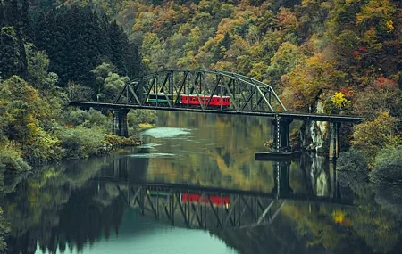 Free download nature landscape trees forest water bridge reflection train autumn plants rock 4K wallpaper, Wallpaper(s) website provided.