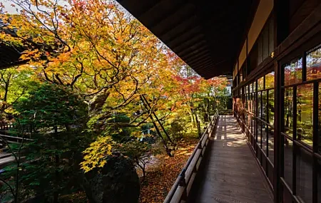 Free download Nature City Architecture Garden 4K Wallpaper, Wallpaper(s) website provided.