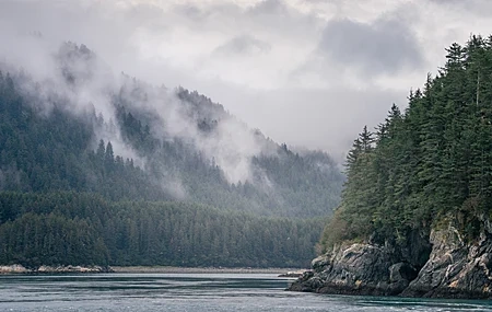 Free download Photography nature sky environment landscape trees forest rock mist fog river rock formation depth of field wilderness clouds 4K wallpaper, Wallpaper(s) website provided.