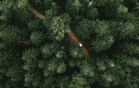 Free download Trees Green Nature Forest Jeep 4K Wallpaper, Wallpaper(s) website provided.