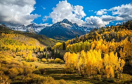 Free download Nature Landscape Autumn Forest Mountains Sky Cloud Tree Snow 4K Wallpaper, Wallpaper(s) website provided.