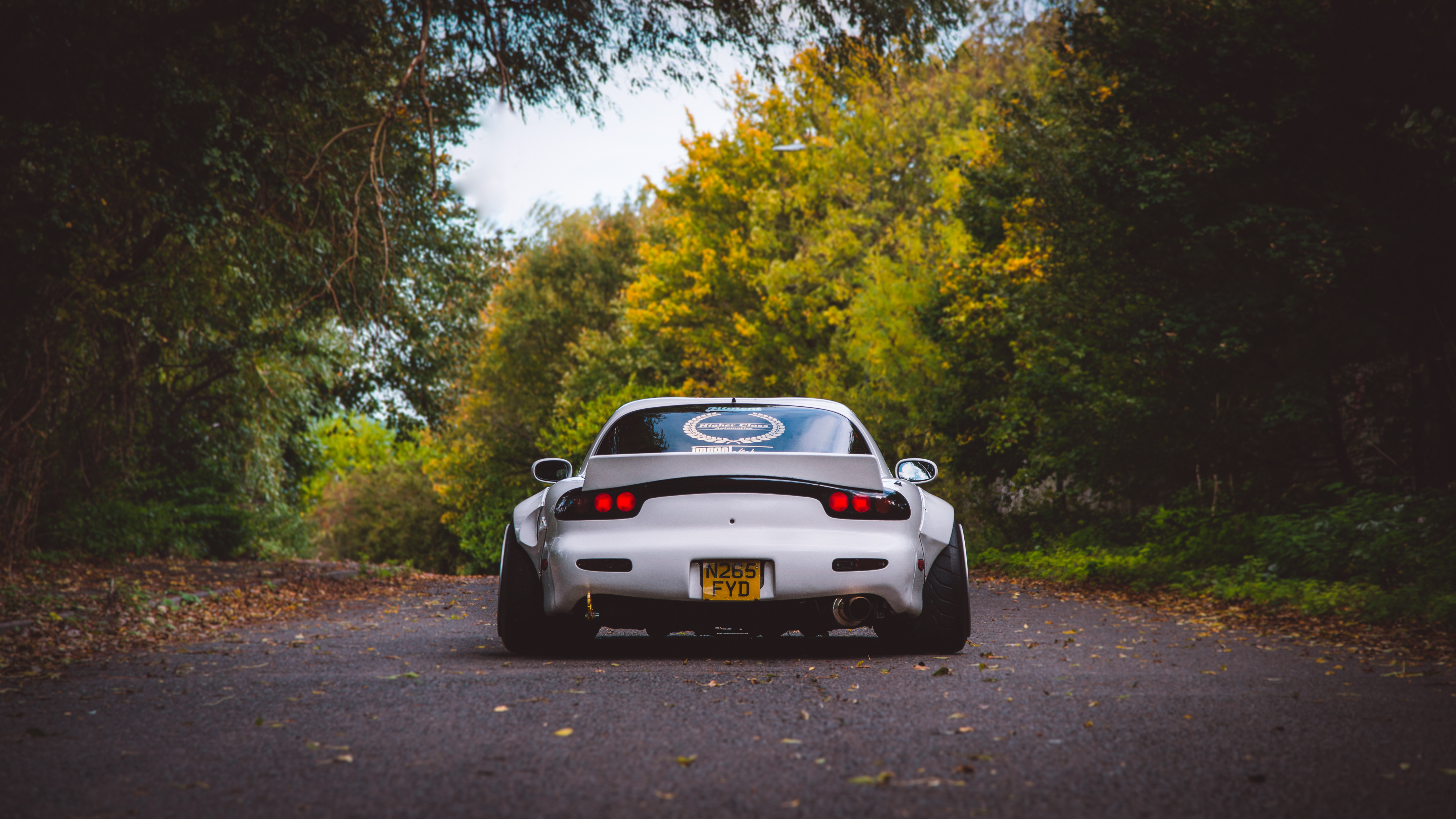 Free download car vehicle adjustment road trees white car car 4K wallpaper, Wallpaper(s) website provided.