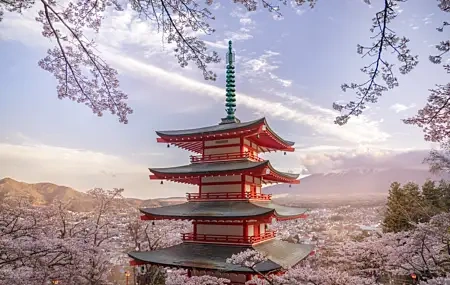 Free download Photography Landscape Cherry Blossom Flower Nature Mountain Cloud Pagoda Architecture 4K Wallpaper, Wallpaper(s) website provided.