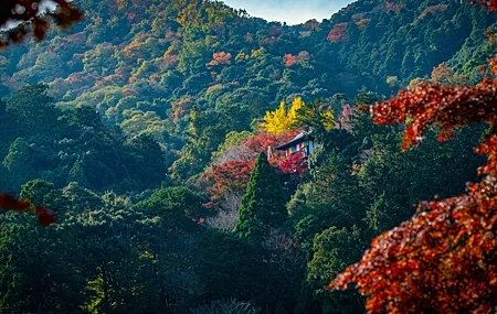 Free download Nature Temple Mountains Trees Leaves Autumn Forest 4K Wallpaper, Wallpaper(s) website provided.
