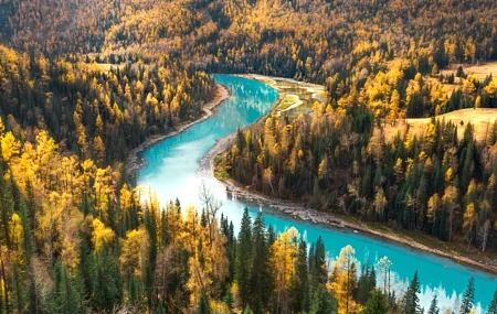 Free download Yellow Blue River Forest Landscape Nature Autumn 4K Wallpaper, Wallpaper(s) website provided.