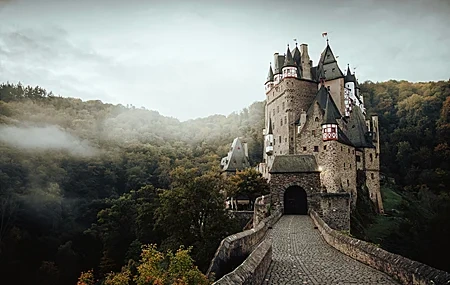 Free download Landscape Architecture Trees Mist Forest Castle 4K Wallpaper, Wallpaper(s) website provided.