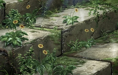 Free download Painting Sunflower Moss Steps Stone Plant Grass Climbing Plants Closeup 4K Wallpaper, Wallpaper(s) website provided.