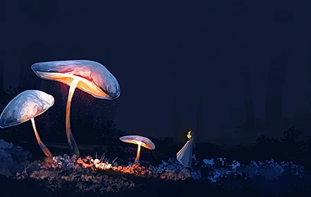 Free download Anime Girl Mushroom Plant Night Forest 4K Wallpaper, Wallpaper(s) website provided.