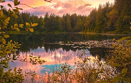 Free download Photography Lake Pines Clouds Reflection Nature Landscape Forest Sunshine Sky Trees Water Leaves 4K Wallpaper, Wallpaper(s) website provided.