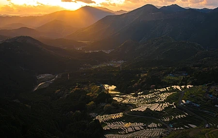 Free download Nature Landscape Sky Mountains Trees Forest Town Farm Vision Wires Low Light Rice Fields Sunset Sunshine 4K Wallpaper, Wallpaper(s) website provided.