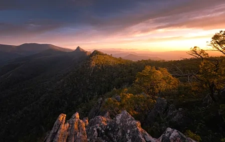 Free download Nature Landscape Trees Forest Rock Plant Clouds Sky Sunset 8K Wallpaper, Wallpaper(s) website provided.