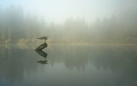 Free download Photography Nature Environment Calm Water Landscape Trees Forest Mist Fog Lake Rivers Depth of Field Wild Coast Island 4K Wallpaper, Wallpaper(s) website provided.