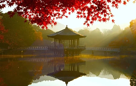 Free download nature landscape leaves leaves water reflection bridge trees sunshine morning autumn 4K wallpaper, Wallpaper(s) website provided.