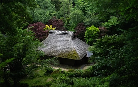 Free download Nature Landscape Trees Plants Grass Leaves Long Branches Asian Architecture Museum 4K Wallpaper, Wallpaper(s) website provided.