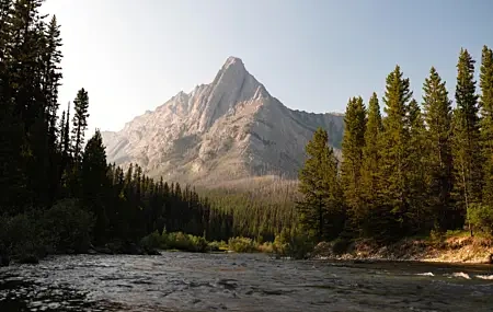 Free download Forest cliff mountains nature landscape river pine trees 4K wallpaper, Wallpaper & 7wallpaper