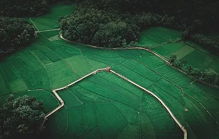 Free download Landscape bird's eye view farm trees fields meadow forest nature vision green 4K wallpaper, Wallpaper & 7wallpaper