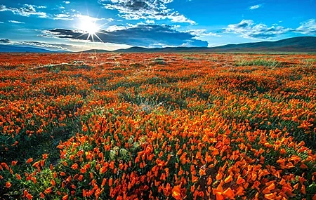 Free download Nature Landscape Field Sky Cloud Sun 4K Wallpaper, Wallpaper & 7wallpaper