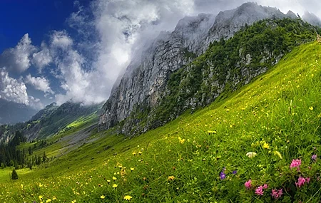 Free download Flowers Nature Landscape Mountains 4K Wallpaper, Wallpaper & 7wallpaper
