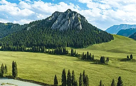 Free download Fields Forest Nature Landscape Mountains 4K Wallpaper, Wallpaper(s) website provided.