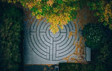 Free download Nature Trees Plants Architecture Deciduous Leaves Autumn Maze 4K Wallpaper, Wallpaper & 7wallpaper