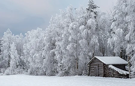 Free download Nature Winter Ice and Snow Cold Outdoor Trees Hut 4K Wallpaper, Wallpaper & 7wallpaper