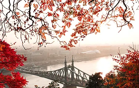 Free download Nature Landscape Autumn Leaves Red Clouds Forest City River Bridge Mobile Wallpaper 4K Wallpaper, Wallpaper(s) website provided.