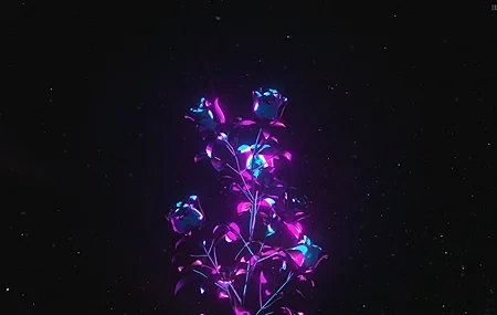 Free download Abstract rose purple flower cinema dark 4K wallpaper, Wallpaper & 7wallpaper