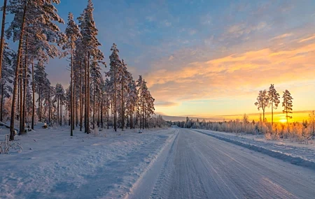 Free download winter snow tree sunset road sky cloud pine tree nature landscape 4K wallpaper, Wallpaper & 7wallpaper