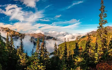 Free download National Park Forest Nature Landscape Clouds Autumn Mist Trees Mountains Sky 8K Wallpaper, Wallpaper & 7wallpaper