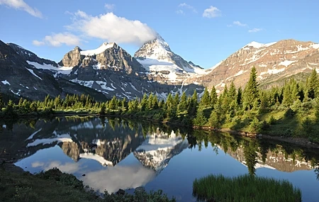 Free download Forest Lake Mountain Reflection Nature Calm 4K Wallpaper, Wallpaper & 7wallpaper