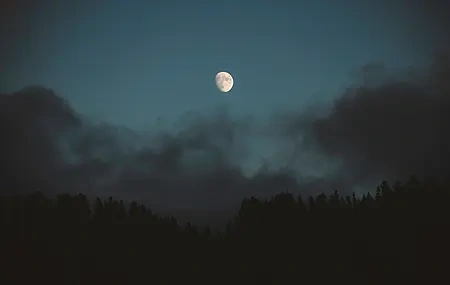 Free download Nature Clouds Pines Forest Moon Moonlight Night Sky 4K Wallpaper, Wallpaper & 7wallpaper