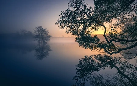 Free download Nature Lake Mist Morning Calm Water Reflection Branch Calm Trees 4K Wallpaper, Wallpaper & 7wallpaper